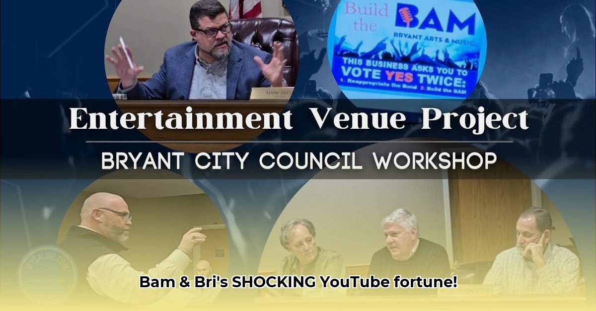 bam-and-bri-nation-net-worth